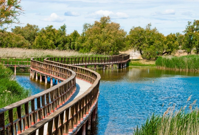 Acque del Parco Daimiel 